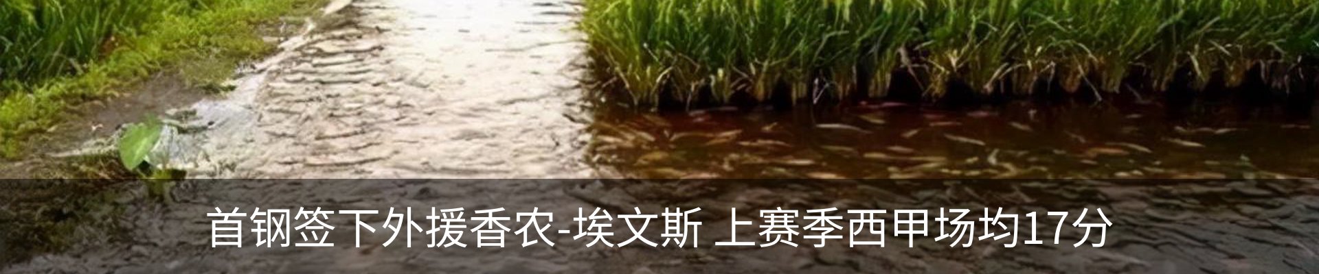 内页banner